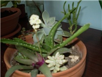 03e7f2e2-Picture 1227.jpg